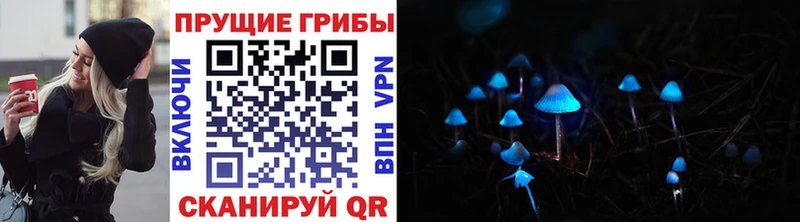 сколько стоит маркетплейс как зайти Галлюциногенные грибы мицелий Гаврилов-Ям